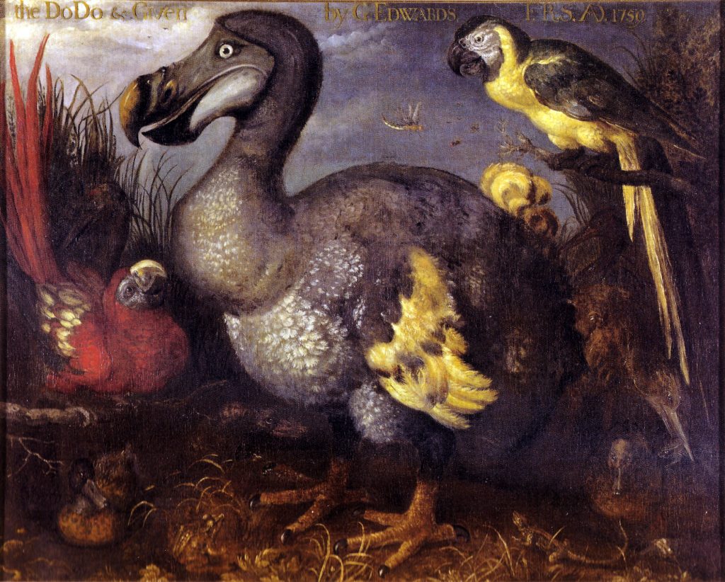 Gli Scienziati Vogliono Riportare In Vita I Dinosauri