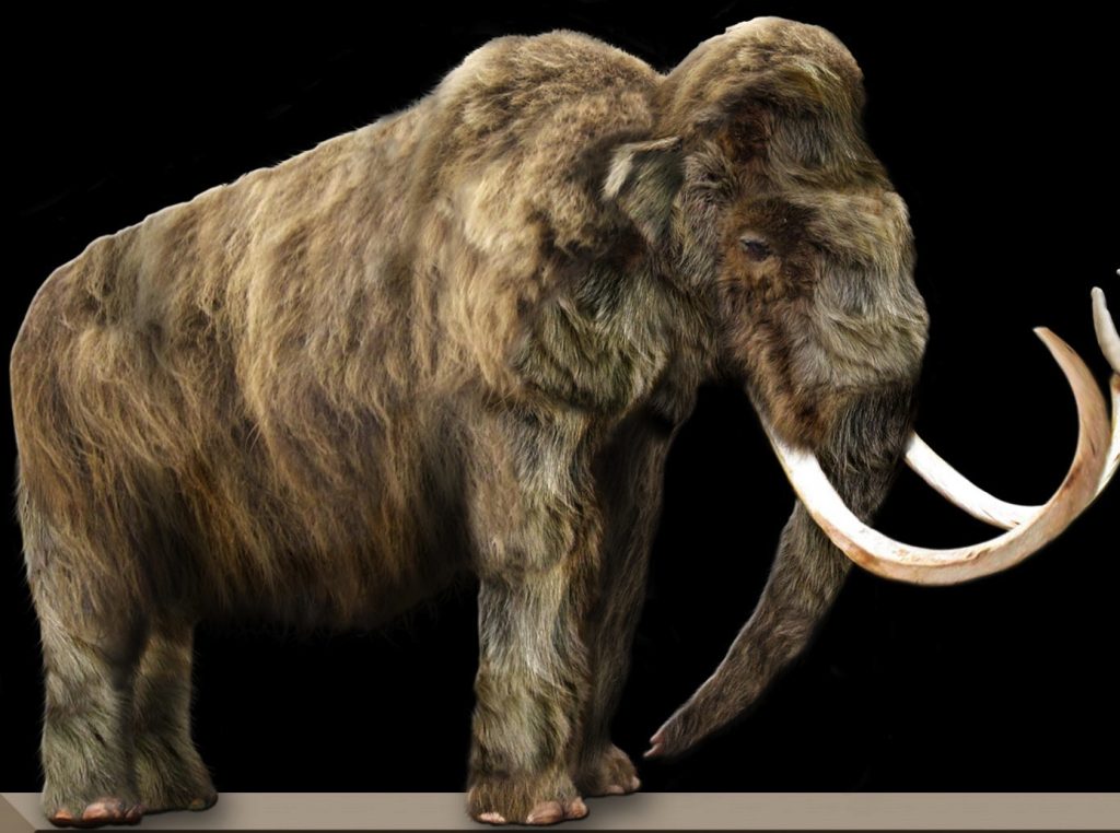 Gli Scienziati Vogliono Riportare In Vita I Dinosauri