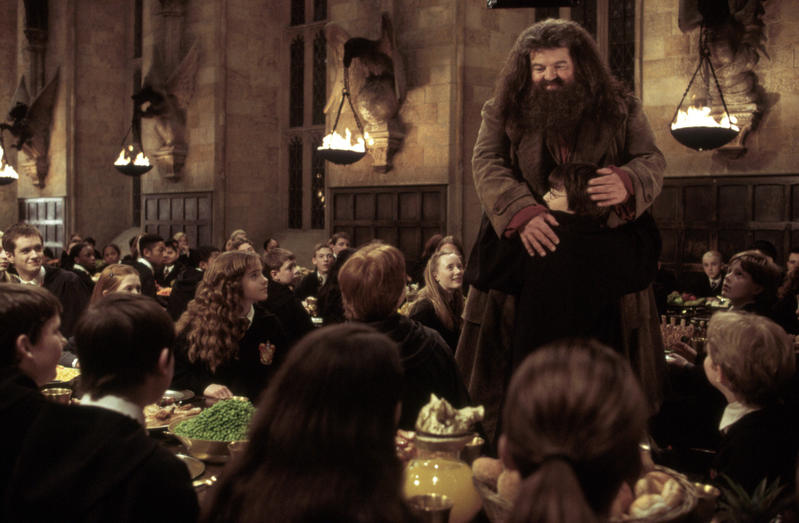Come Vedere La Reunion Di Harry Potter