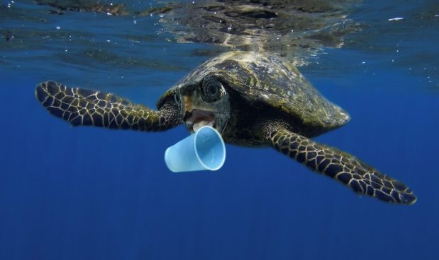 14 milioni di tonnellate di plastica giacciono sul fondo degli oceani: 30 volte più di quella che galleggia