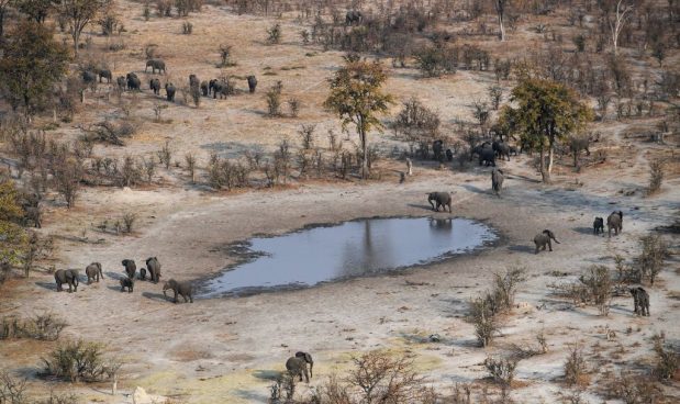 Trovato (forse) il luogo in cui si presume siano apparsi i primi uomini: è in Botswana
