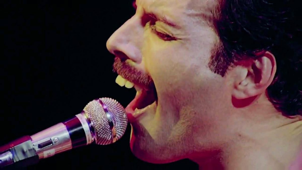 Le Piu Belle Foto Di Freddie Mercury