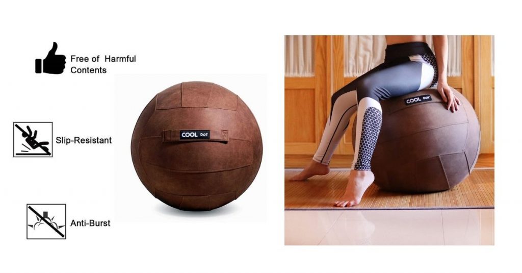 Sunny Health & Fitness – Palla Ginnastica Anti Scoppio, 55/65/75 Cm, Con Pompa, Per Yoga E Fitness