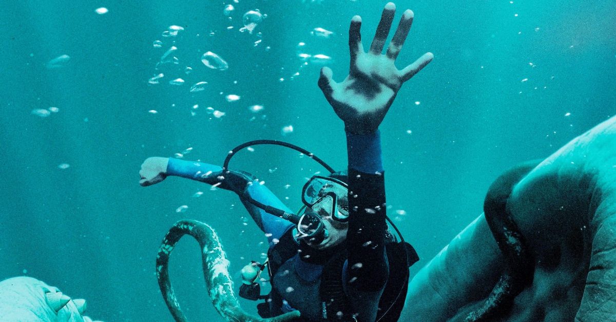 Whalefall - Nella Balena: la storia vera | Radio Deejay