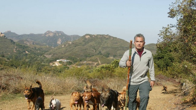 Dog Whisperer - Uno Psicologo Da Cani