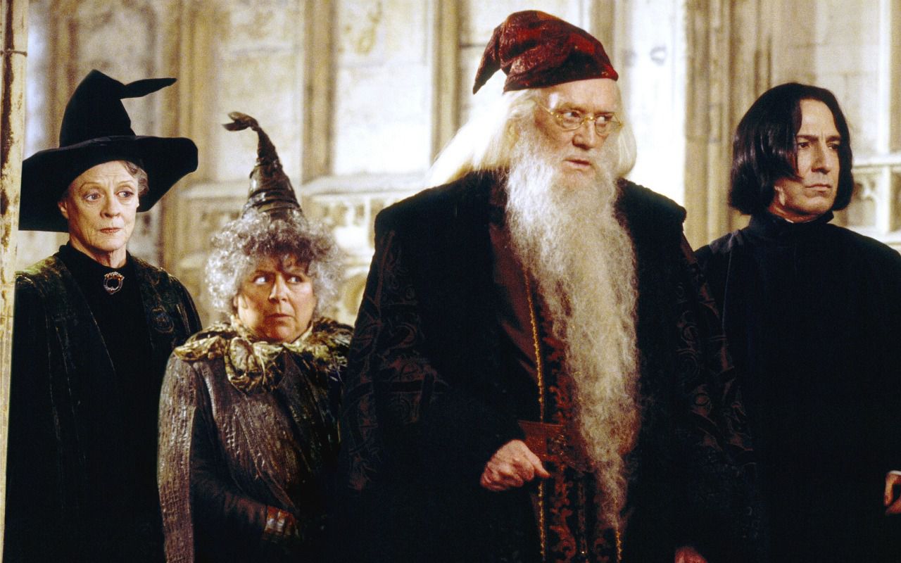 Harry Potter e la camera dei segreti: cast, trama e curiosità – Tvzap