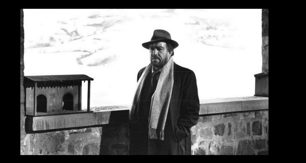 Film La Tragedia Di Un Uomo Ridicolo