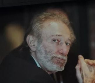 Vincenzo Emmi