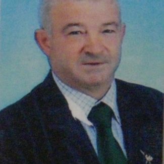 Gino  Pillon