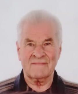 Luigi  Lazzarin