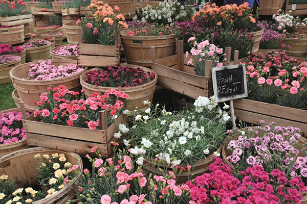 Respira C E Il Festival Del Verde E Del Paesaggio Casa Design